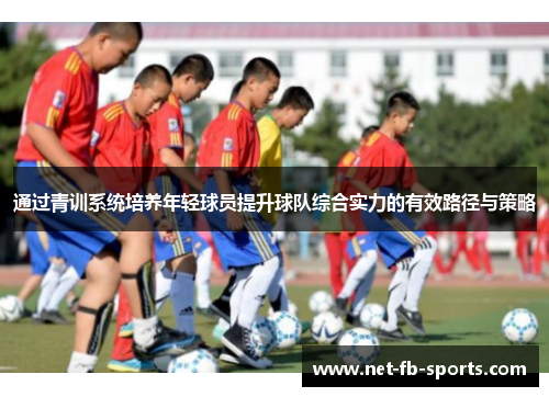 通过青训系统培养年轻球员提升球队综合实力的有效路径与策略