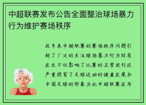 中超联赛发布公告全面整治球场暴力行为维护赛场秩序